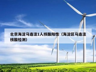 北京海淀马连洼1人核酸阳性（海淀区马连洼核酸检测）