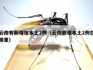 云南有新增加本土2例（云南新增本土2例在哪里）