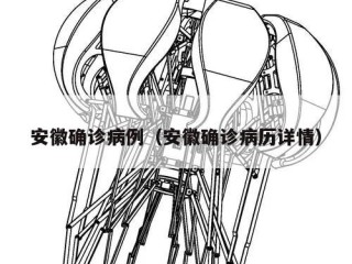 安徽确诊病例（安徽确诊病历详情）