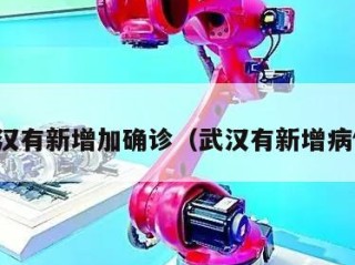 武汉有新增加确诊（武汉有新增病例）